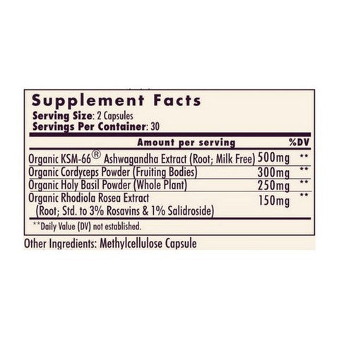 Ladybug Potions, Positive Vibes Ashwagandha Plus, 60 Capsules Ladybug Potions